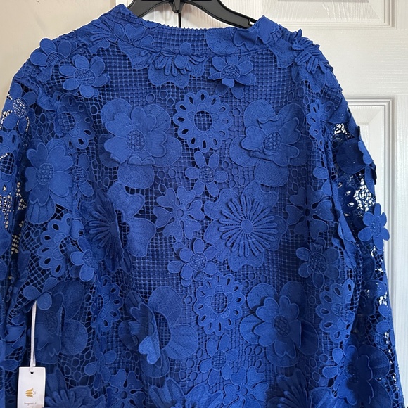 Elegant Blue Lace Dress - Picture 13 of 16